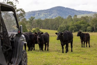 Rural / Farming commercial property for sale at 158 Somerset Road Kimbriki NSW 2429