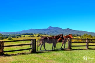 Rural / Farming commercial property for sale at 477 Pinnacle Road Pumpenbil NSW 2484 Rural / Farming commercial property for sale at 477 Pinnacle Road Pumpenbil NSW 2484