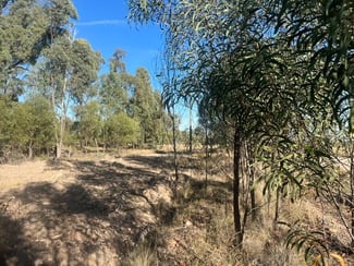 Rural / Farming commercial property for sale at Lot 7 Cartens Lane Tara QLD 4421 Rural / Farming commercial property for sale at Lot 7 Cartens Lane Tara QLD 4421