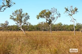 Rural / Farming commercial property for sale at Fred Hardy Road Robin Falls NT 0822 Rural / Farming commercial property for sale at Fred Hardy Road Robin Falls NT 0822