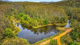 Rural / Farming commercial property for sale at 2984 Kyogle Road Kunghur NSW 2484