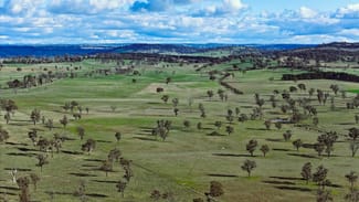 Rural / Farming commercial property for sale at 91 Gill Road Walcha NSW 2354 Rural / Farming commercial property for sale at 91 Gill Road Walcha NSW 2354