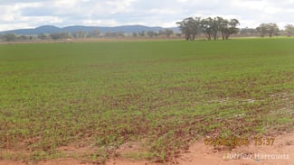 Rural / Farming commercial property for sale at 386 Sarona Downs Road Hermidale NSW 2831 Rural / Farming commercial property for sale at 386 Sarona Downs Road Hermidale NSW 2831