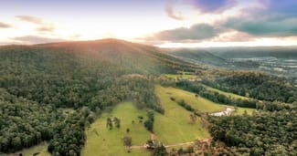 Rural / Farming commercial property for sale at 300 Hayes Road Millfield NSW 2325