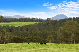 Rural / Farming commercial property for sale at 1212 Beaury Creek Road Urbenville NSW 2475 Rural / Farming commercial property for sale at 1212 Beaury Creek Road Urbenville NSW 2475