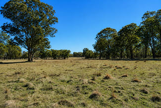 Rural / Farming commercial property for sale at 320 Cemetery Road Torrington NSW 2371 Rural / Farming commercial property for sale at 320 Cemetery Road Torrington NSW 2371