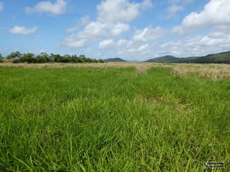 Rural / Farming commercial property for sale at Cowley QLD 4871 Rural / Farming commercial property for sale at Cowley QLD 4871