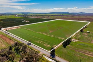 Rural / Farming commercial property for sale at 77 Fivebough Road Leeton NSW 2705