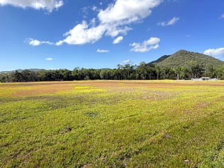 Rural / Farming commercial property for sale at 91710 Bruce Highway Alligator Creek QLD 4740