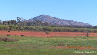 Rural / Farming commercial property for sale at * Cooneybar Station Cobar NSW 2835