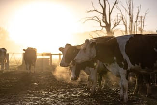 Rural / Farming commercial property for sale at 65 Koocumbat Lane Marlee NSW 2429