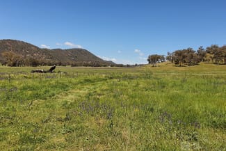 Rural / Farming commercial property for sale at 1532 Castlereagh Highway Mudgee NSW 2850