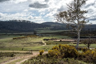 Rural / Farming commercial property for sale at 'East Dundee' Stonehenge Road Whitefoord TAS 7120 Rural / Farming commercial property for sale at 'East Dundee' Stonehenge Road Whitefoord TAS 7120