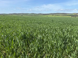 Rural / Farming commercial property for sale at Lot 92 Pollies Plain Road Miltalie SA 5602 Rural / Farming commercial property for sale at Lot 92 Pollies Plain Road Miltalie SA 5602