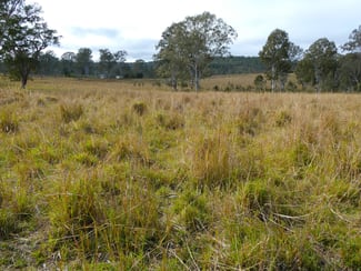 Rural / Farming commercial property for sale at 70 Bairds Road Bonalbo NSW 2469