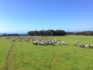 Rural / Farming commercial property for sale at 1730 Willson River Road Porky Flat SA 5222