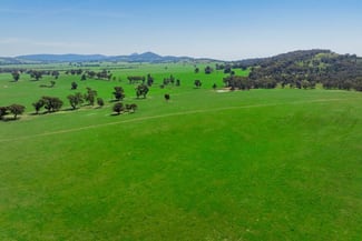 Rural / Farming commercial property for sale at 300 Jaricks Lane The Rock NSW 2655 Rural / Farming commercial property for sale at 300 Jaricks Lane The Rock NSW 2655