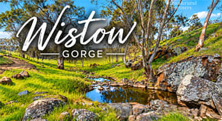 Rural / Farming commercial property for sale at Lot 6 Wiles Firetrack Wistow SA 5251