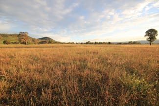 Rural / Farming commercial property sold at Mudgee NSW 2850 Rural / Farming commercial property sold at Mudgee NSW 2850