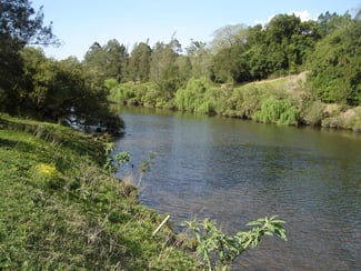 Rural / Farming commercial property sold at Caffreys Flat NSW 2424 Rural / Farming commercial property sold at Caffreys Flat NSW 2424