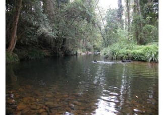 Rural / Farming commercial property sold at Caparra NSW 2429 Rural / Farming commercial property sold at Caparra NSW 2429