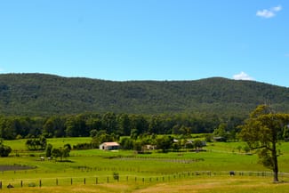 Rural / Farming commercial property sold at 63 Williams River Close Clarence Town NSW 2321