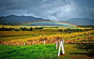 Rural / Farming commercial property sold at 18 to 20 ROBERTSON Road Innisfail QLD 4860