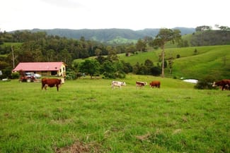 Rural / Farming commercial property sold at Krambach NSW 2429 Rural / Farming commercial property sold at Krambach NSW 2429