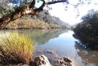 Rural / Farming commercial property sold at Number One NSW 2424 Rural / Farming commercial property sold at Number One NSW 2424