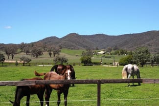 Rural / Farming commercial property sold at Mudgee NSW 2850 Rural / Farming commercial property sold at Mudgee NSW 2850