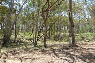 Rural / Farming commercial property sold at Windeyer NSW 2850