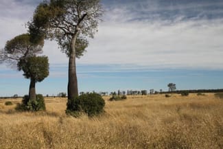 Rural / Farming commercial property sold at Miles QLD 4415