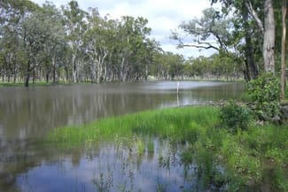 Rural / Farming commercial property sold at Injune QLD 4454 Rural / Farming commercial property sold at Injune QLD 4454