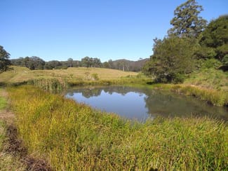 Rural / Farming commercial property sold at Elands NSW 2429