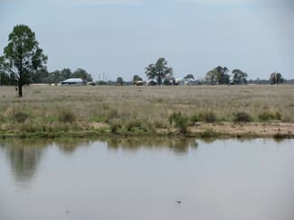 Rural / Farming commercial property sold at 1044 ACRES BRIGALOW BELAH Chinchilla QLD 4413 Rural / Farming commercial property sold at 1044 ACRES BRIGALOW BELAH Chinchilla QLD 4413