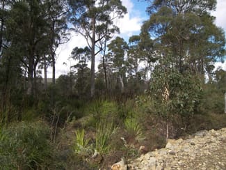 Rural / Farming commercial property sold at 442 Prossers Road Nunamara TAS 7259