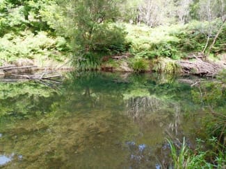 Rural / Farming commercial property sold at Elands NSW 2429 Rural / Farming commercial property sold at Elands NSW 2429