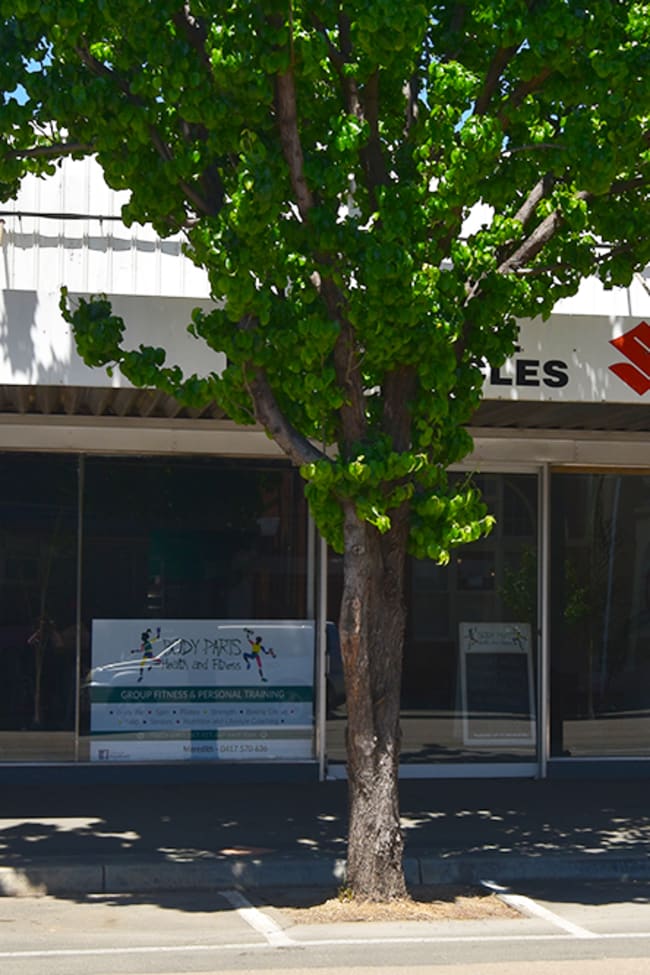 218-220 Allan Street Kyabram VIC 3620