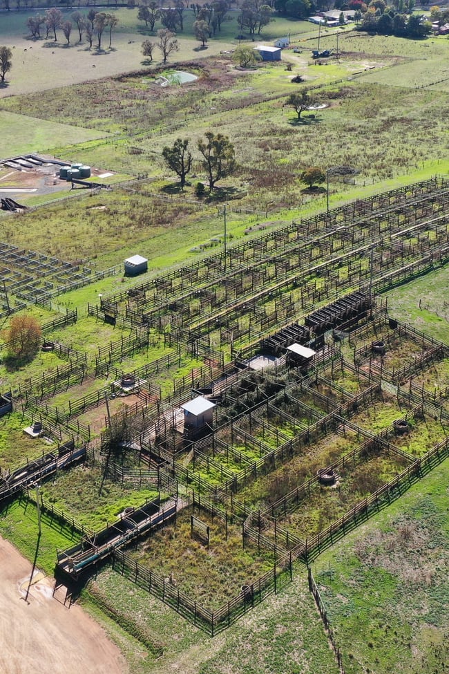 16 - 25 Saleyards Road Walcha NSW 2354