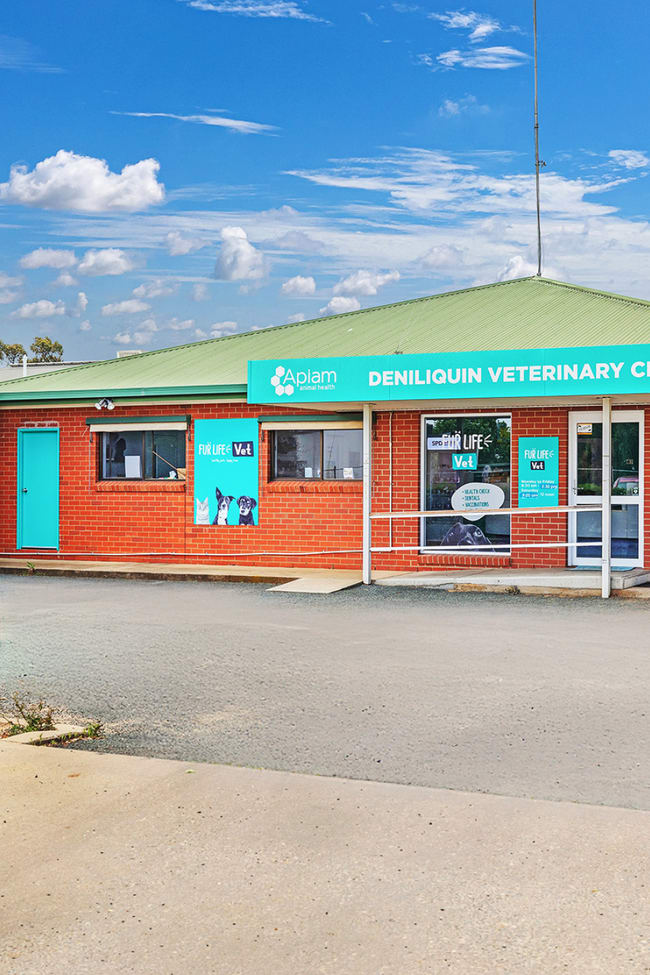 389 Poictiers Street Deniliquin NSW 2710
