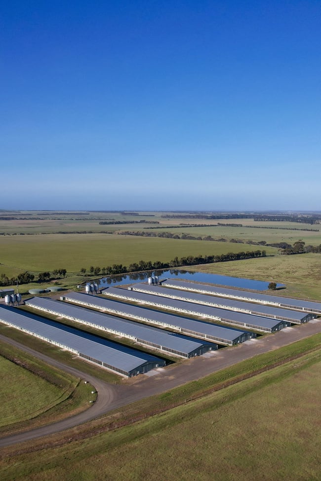 124 Windermere Road Murgheboluc VIC 3218