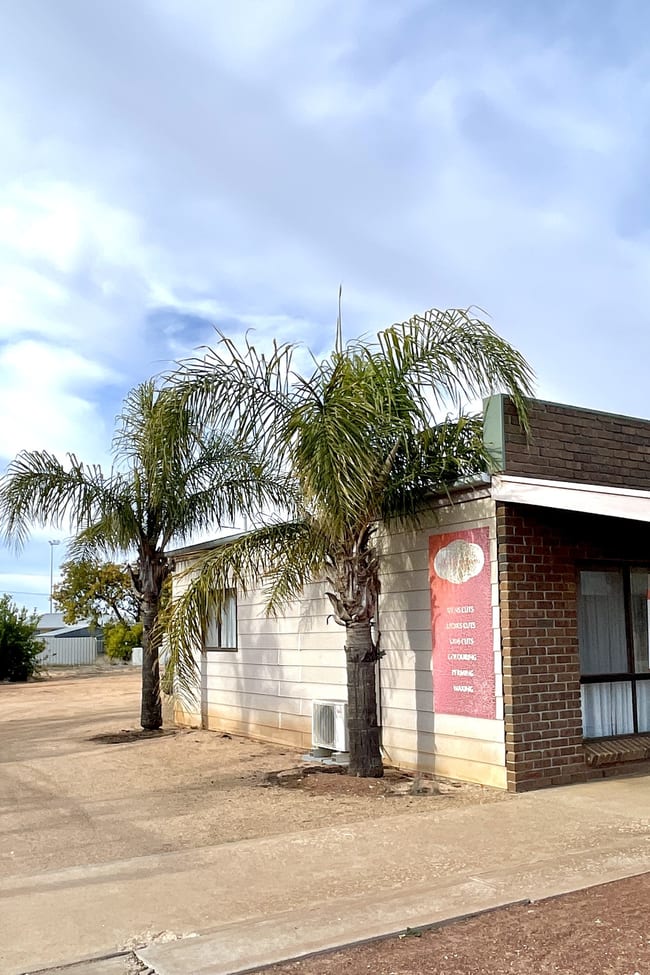 53 Ballantyne Street Wudinna SA 5652