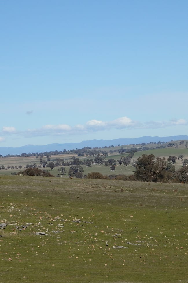 45 MOORBYS LANE Bowning NSW 2582