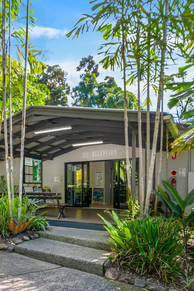152 Rykers Road Cape Tribulation QLD 4873