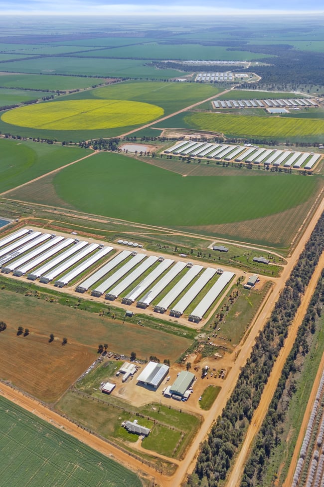 Back Hillston Road Tabbita NSW 2652