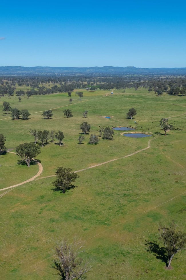 Abington NSW 2350