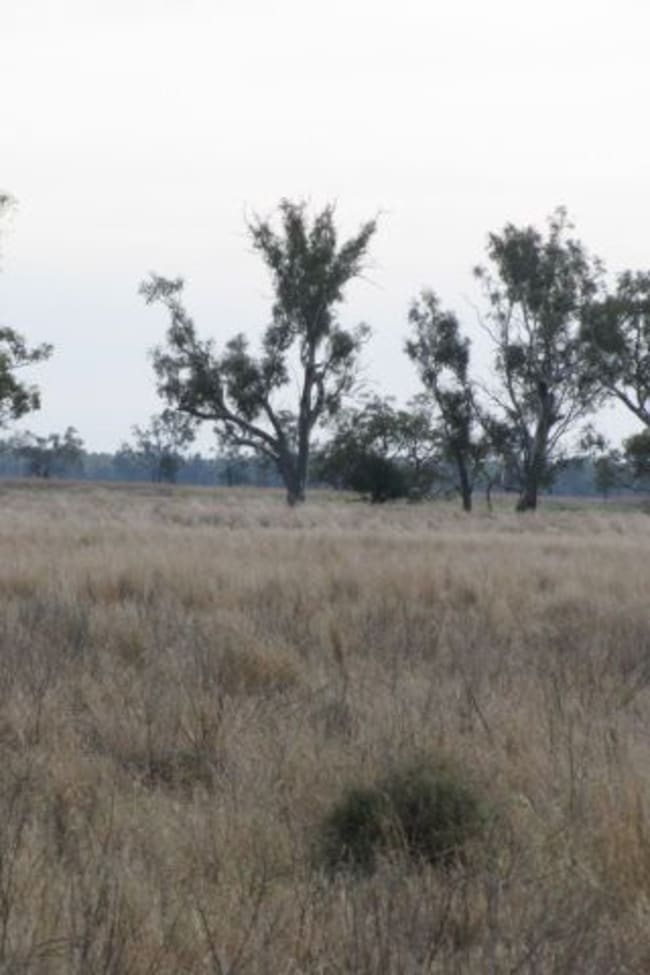. Lot 3 Wambianna Road Warren NSW 2824