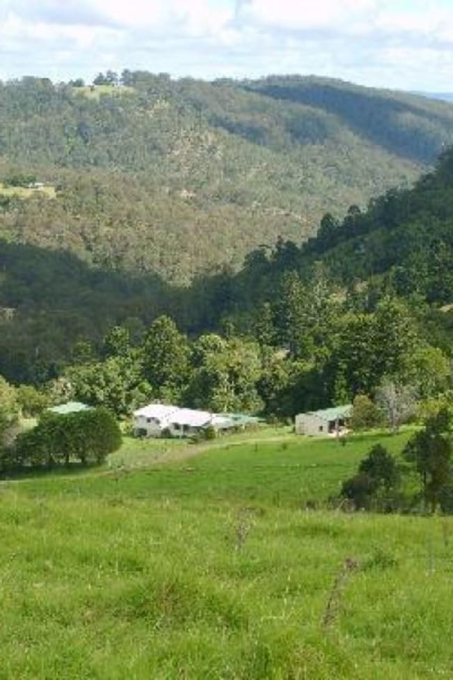 72 Goulds Falls Road Legume NSW 2476
