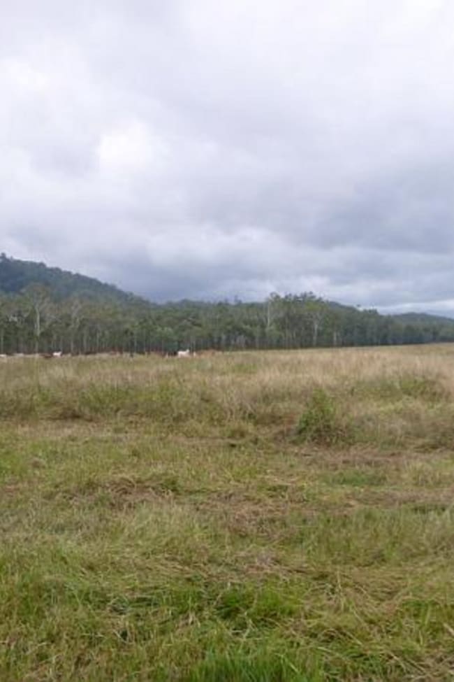1/ Carrig Dhown Road Long Pocket QLD 4850