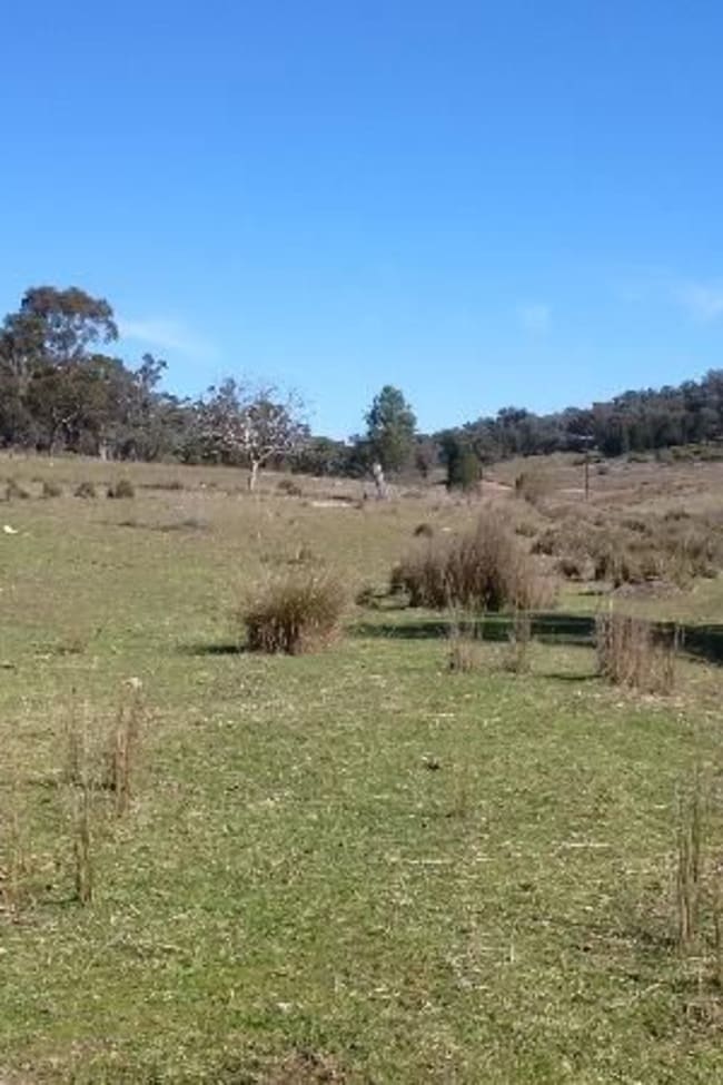 655 Monaghans Rd Manildra NSW 2865